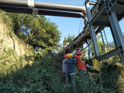 追趕超越，他們用行動(dòng)爭做排頭兵