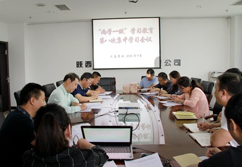 大秦置業(yè)公司 ：“三個(gè)三”引領(lǐng)“兩學(xué)一做”學(xué)習(xí)教育常態(tài)化制度化  蓄力“雙特百億”勇爭先