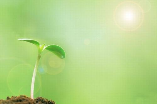 歲生之初，且聽我說