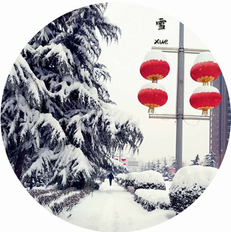 雪，寒冬里的溫柔