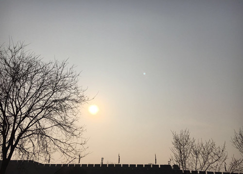 老樹·城墻·夕陽