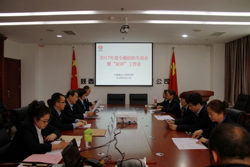 大秦置業(yè)公司：緊嚴并舉開好黨支部2017年度專題組織生活會暨雙評工作會