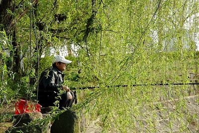 春天，一個多么富有詩意的名字??！