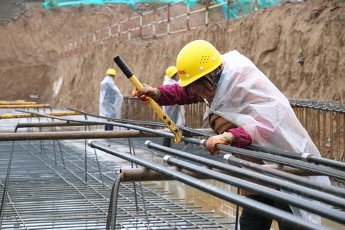 雨天里，“小蜜蜂們”在“筑巢”