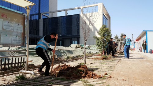 陜煤建設(shè)澄合分公司基層單位開展“植樹護綠，美麗家園”義務植樹活動