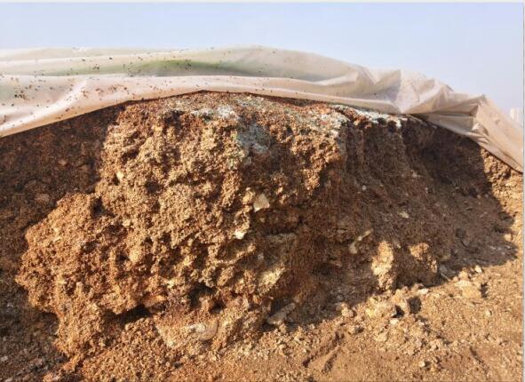 “廢料”變“肥料”，蘑菇包在土壤改良中的應(yīng)用