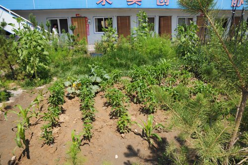 陜煤建設(shè)掘進(jìn)公司:北翼項(xiàng)目部走出一條綠色發(fā)展路