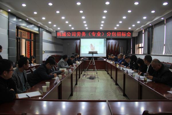 陜煤建設韓城分公司順利完成龍鋼綜合渣場兩布一膜工程勞務分包招標工作