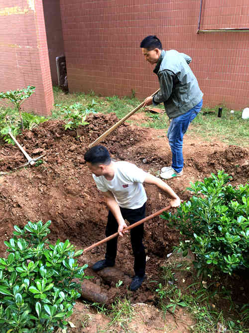 陜煤建設(shè)公司：江南世紀(jì)城小區(qū)為業(yè)主創(chuàng)建衛(wèi)生文明環(huán)境