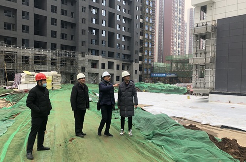 中國建筑標準設(shè)計研究院總建筑師劉東衛(wèi)蒞臨藍山水岸項目參觀指導考察