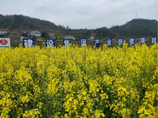 公司領(lǐng)導(dǎo)寧興剛、侯本英到扶貧定點(diǎn)幫扶村看望慰問困難群眾