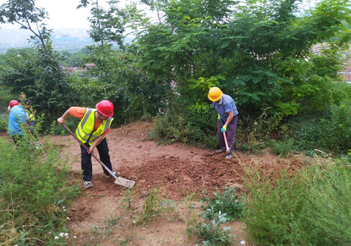 青年突擊勇?lián)?dāng)，助民防洪顯形象