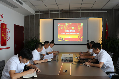 陜煤建設(shè)川耀公司召開(kāi)黨史學(xué)習(xí)教育專(zhuān)題組織生活會(huì)