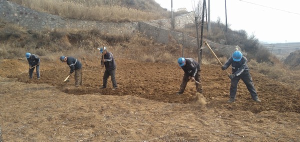 陜煤建設洗選煤運營公司左權洗煤廠項目部：春耕“小菜園”，播種幸福感