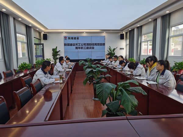 陜煤建設(shè)天工公司渭陽佳苑項(xiàng)目“復(fù)工復(fù)產(chǎn)+青年員工座談”顯芳華