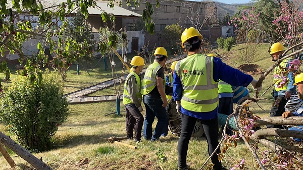 陜煤建設(shè)綠宇公司： 王石凹煤礦工業(yè)遺址春季添綠忙