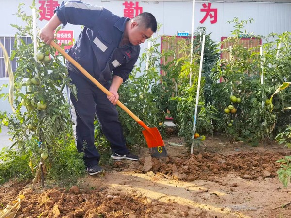 陜煤建設(shè)洗選煤運營公司第七項目部：開墾“試驗田” 扎根大荒漠
