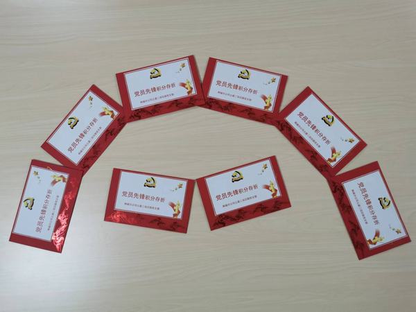 “黨員先鋒”的播種、開花與結(jié)果