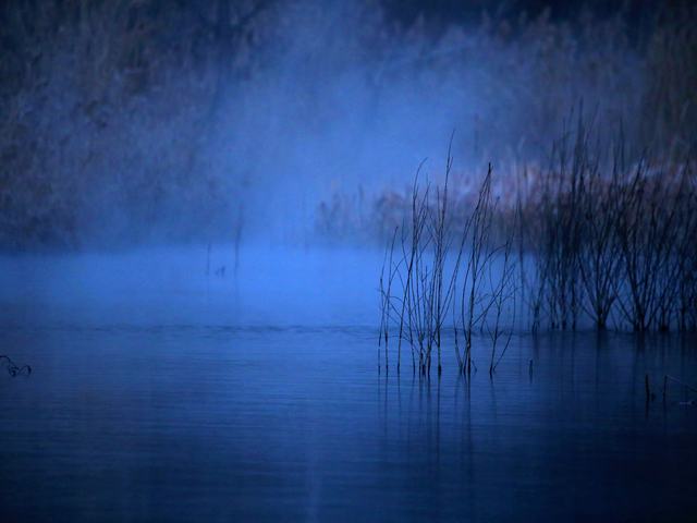 “冬月”你好！