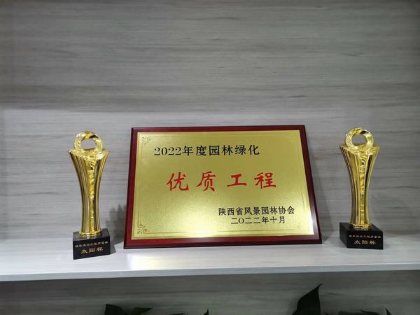 陜煤建設銅煤公司創(chuàng)優(yōu)收獲碩果滿枝