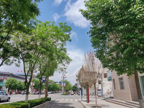 青春，慢點(diǎn)走