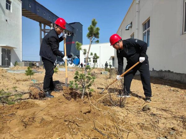 陜煤建設(shè)路橋分公司榆陽煤炭物流園區(qū)項目部春風(fēng)化雨植樹忙