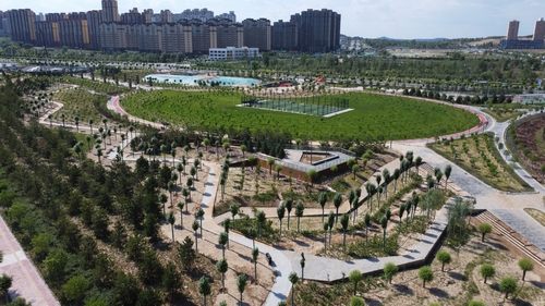 璀璨燈光扮靚城市 運(yùn)動公園夜景美如畫