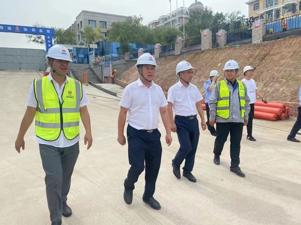 項目建設(shè)奏出高質(zhì)量發(fā)展交響曲