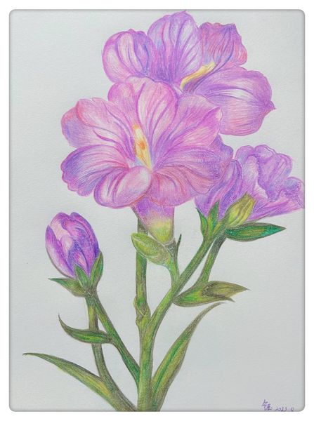 花繪夢(mèng)語(yǔ) 自然彩繪