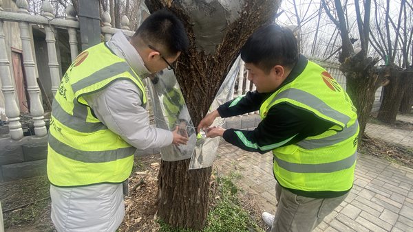 陜煤建設(shè)路橋分公司渭南項目部開展“綠色修復(fù)，生態(tài)共贏”別樣植樹節(jié)活動