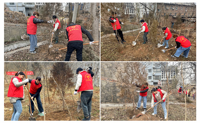 陜煤建設(shè)機(jī)電安裝公司：走，上春山，植樹去！