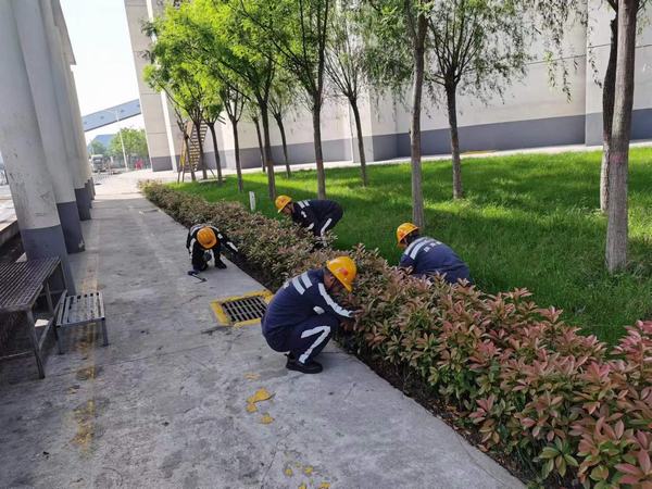 陜煤建設(shè)洗選煤運(yùn)營公司神渭蒲城運(yùn)營項(xiàng)目部：逐”綠”而行 向”綠”而興！廠區(qū)綠化在行動