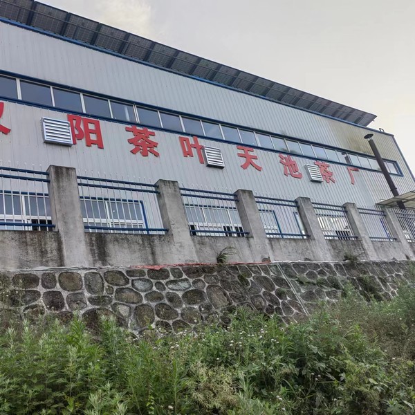 實(shí)事一件接著一件，跑出鄉(xiāng)村振興“加速度”