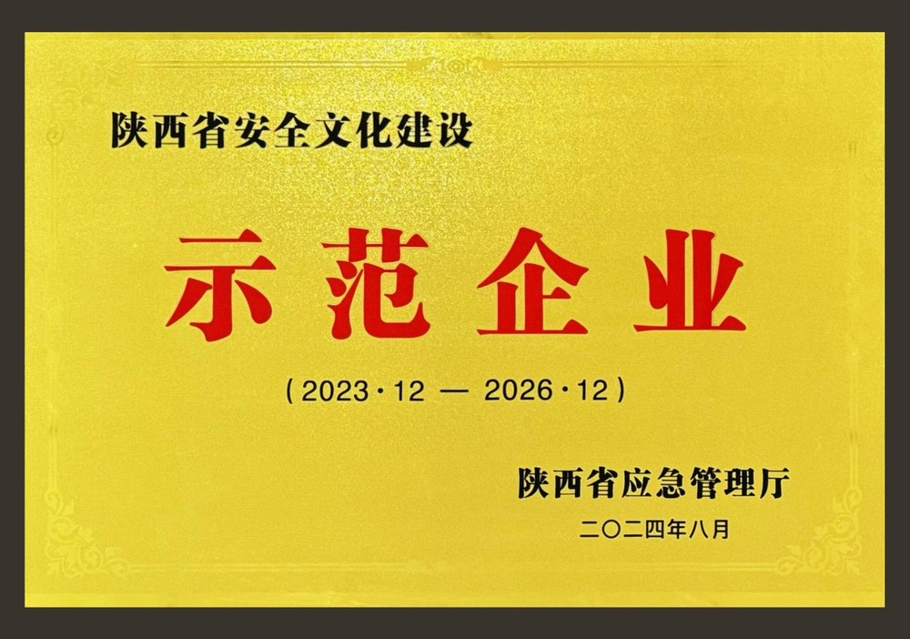 陜煤建設(shè)綠宇公司：多措并舉扎實(shí)開展安全生產(chǎn)治本攻堅(jiān)三年行動