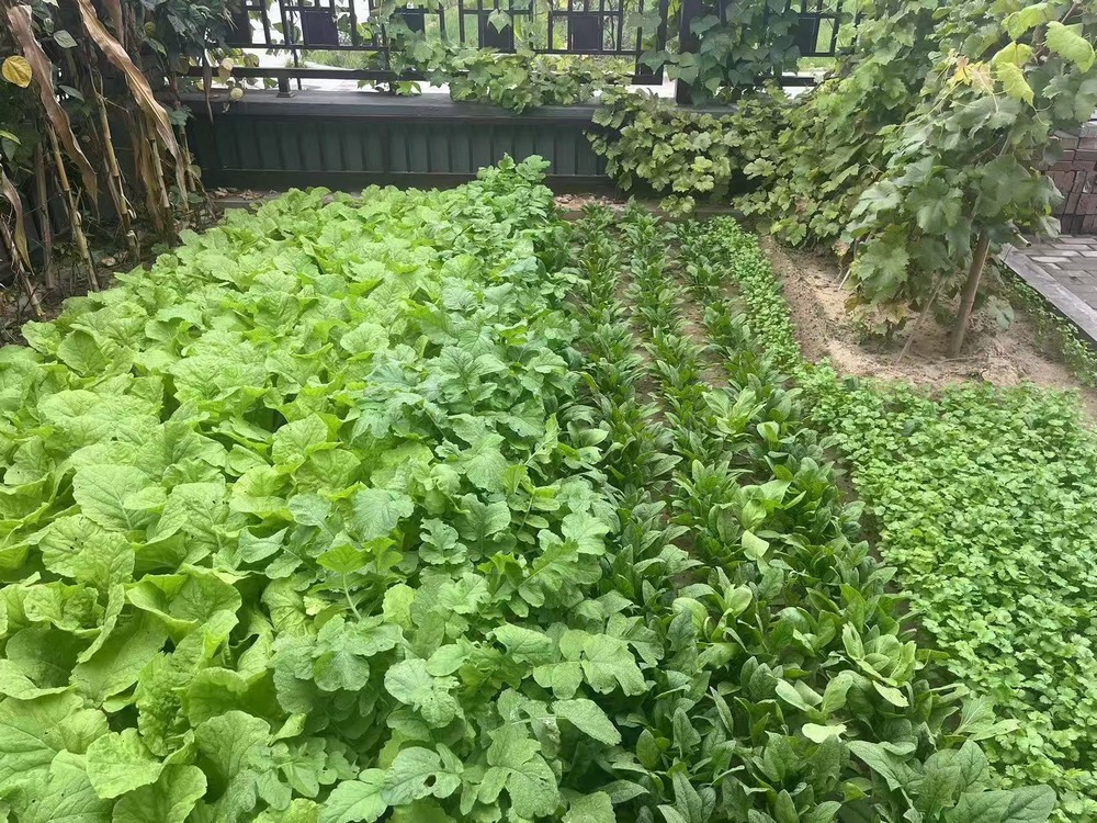 工地之上，家的溫度悄然綻放