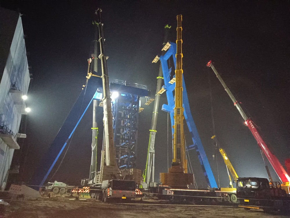 那朵“海棠花”