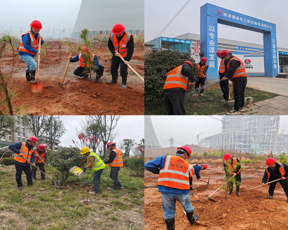 陜煤建設漢中分公司：為工地添綠 為環(huán)保賦能
