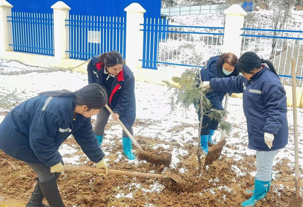 陜煤建設礦建三公司：巾幗添綠綻芳華，共筑生態(tài)新環(huán)境