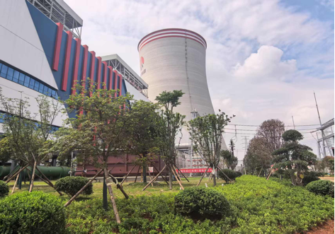 陜煤建設西北分公司：綠意盎然入電廠，生態(tài)建設譜新章