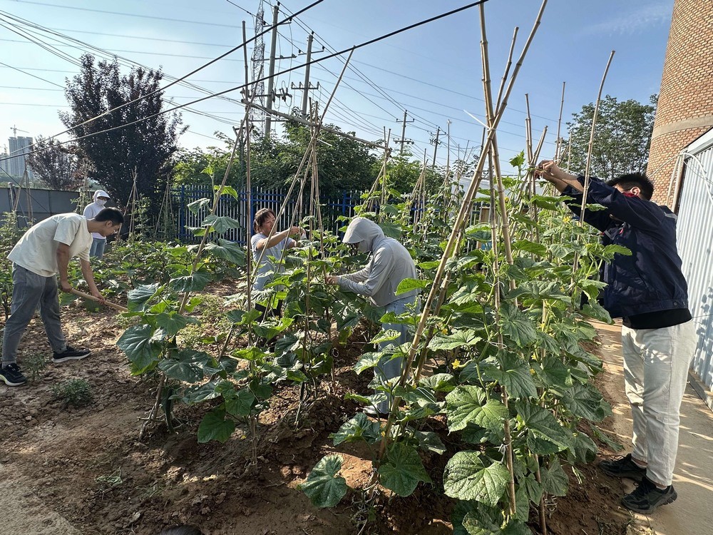 方寸菜園間，鐫刻奮斗與溫情