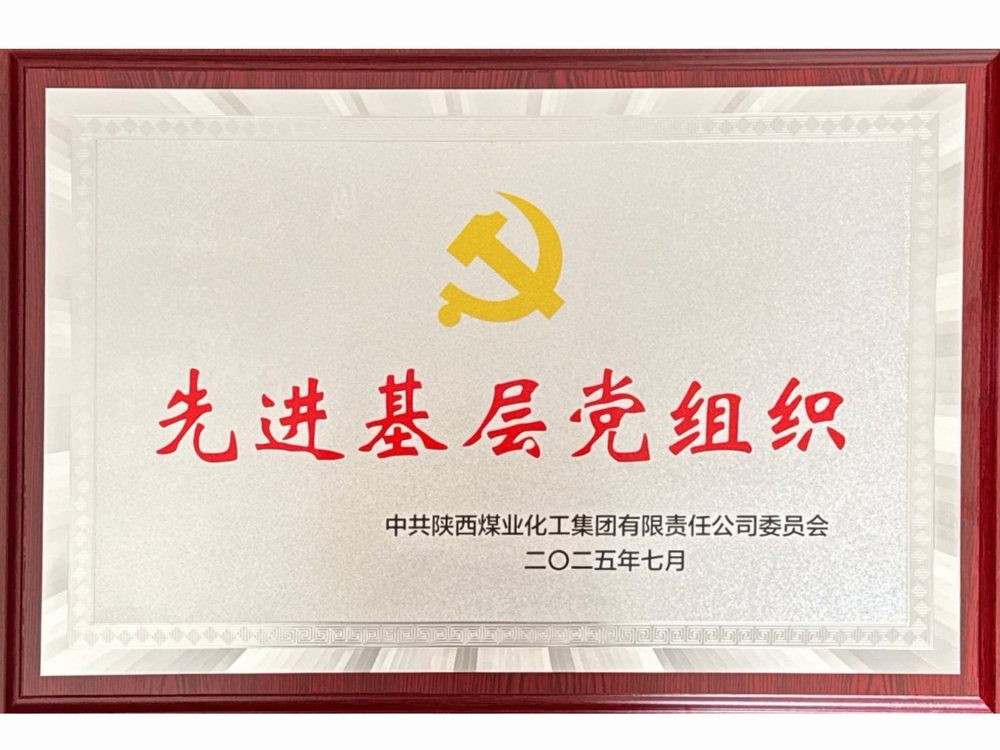 黨建領(lǐng)航結(jié)碩果 實干擔當譜新篇