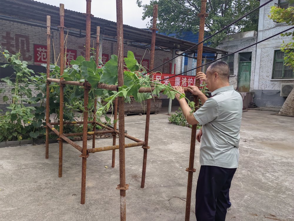 平凡堅守，織就的那些暖心緣