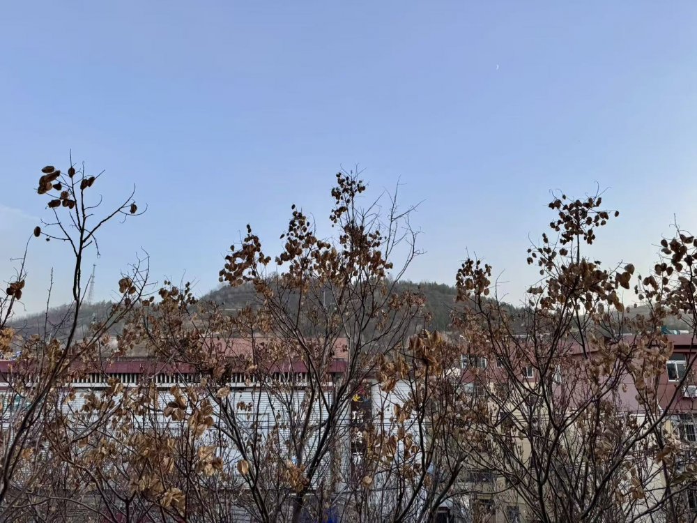 秋意漸濃時，回望來時路