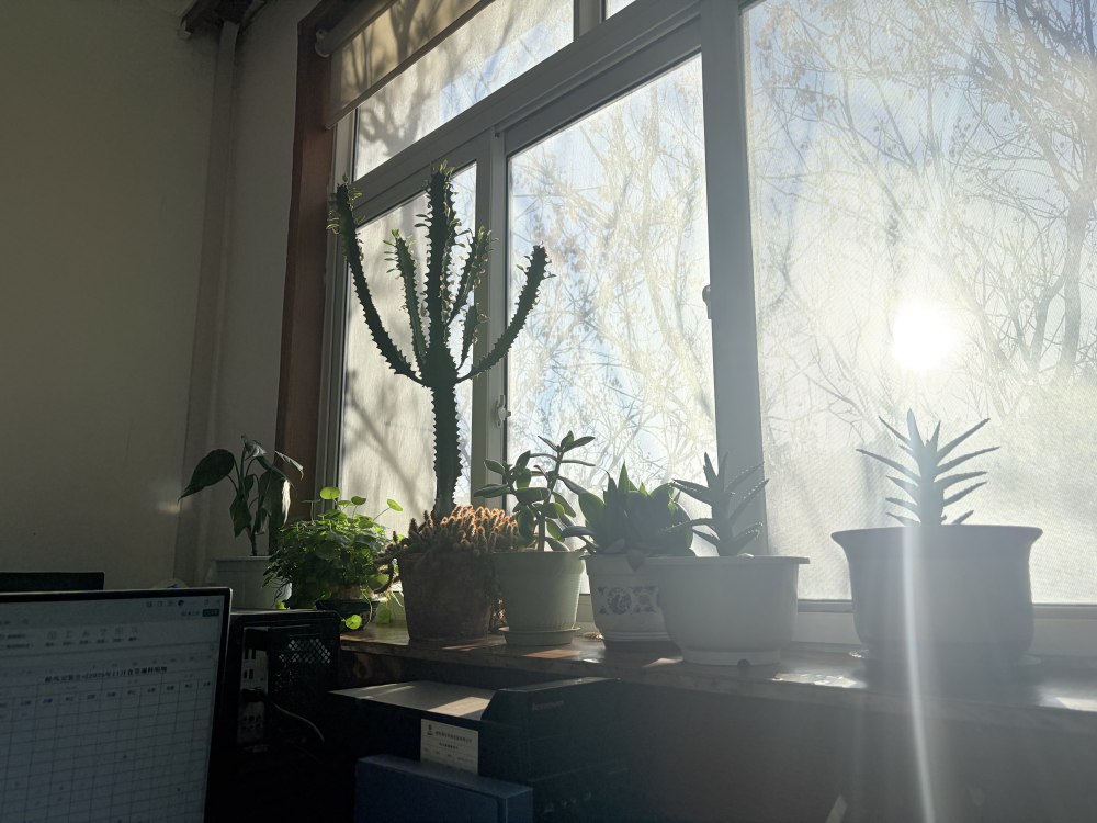 冬陽正好，步履鏗鏘