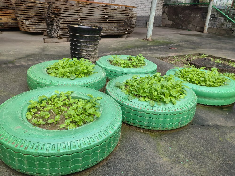 創(chuàng)意無休，廢舊輪胎也能C位出道