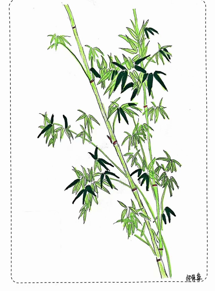 漫說廉潔！這組“草木廉盟”太可了